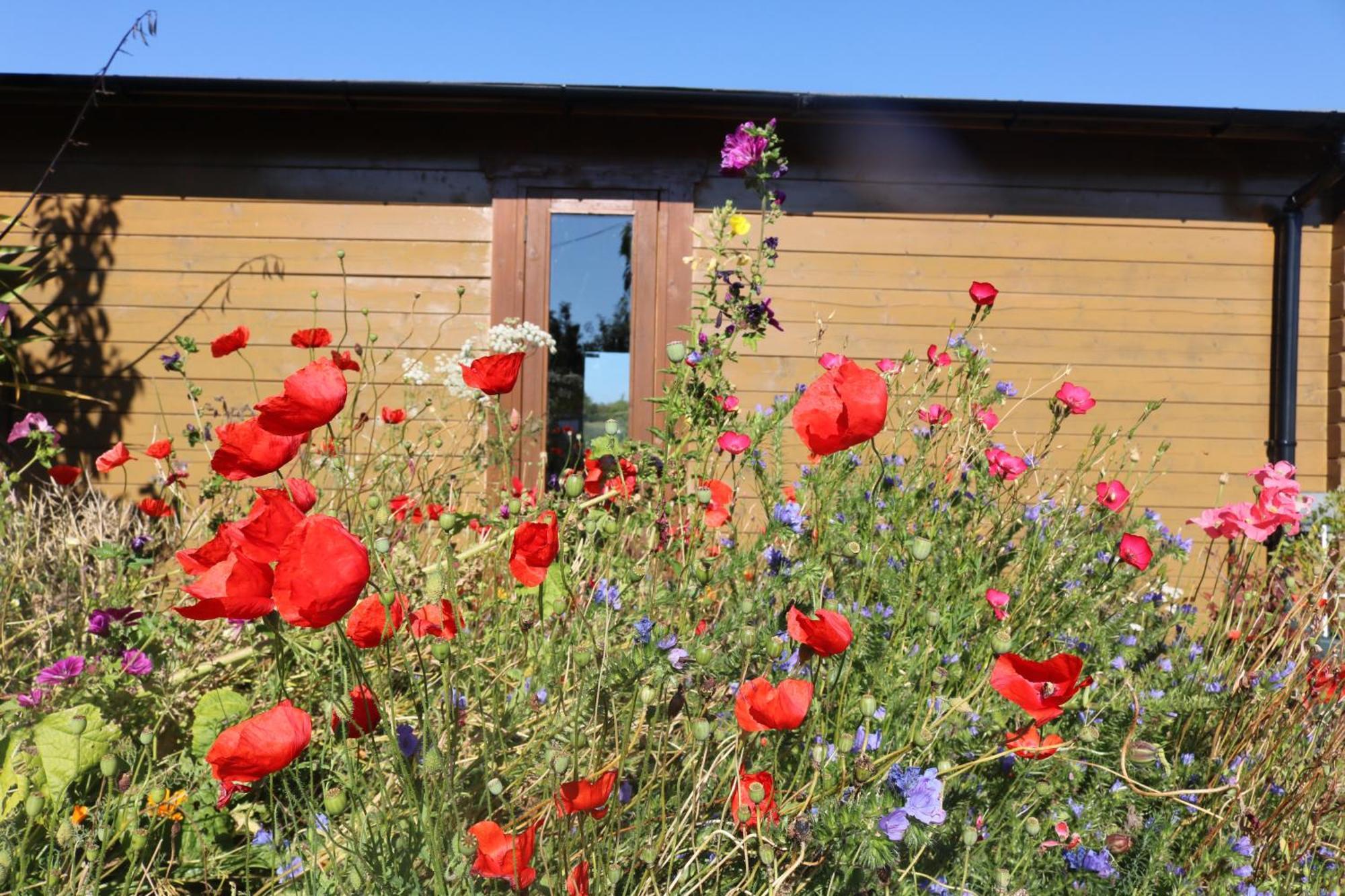 The Cabin Pipershill Newtownbutler Esterno foto